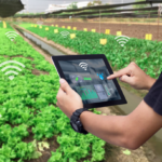 Smart Farming ความสำเร็จและความท้าทายแห่งยุคสมัย