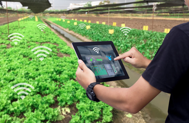 Smart Farming ความสำเร็จและความท้าทายแห่งยุคสมัย